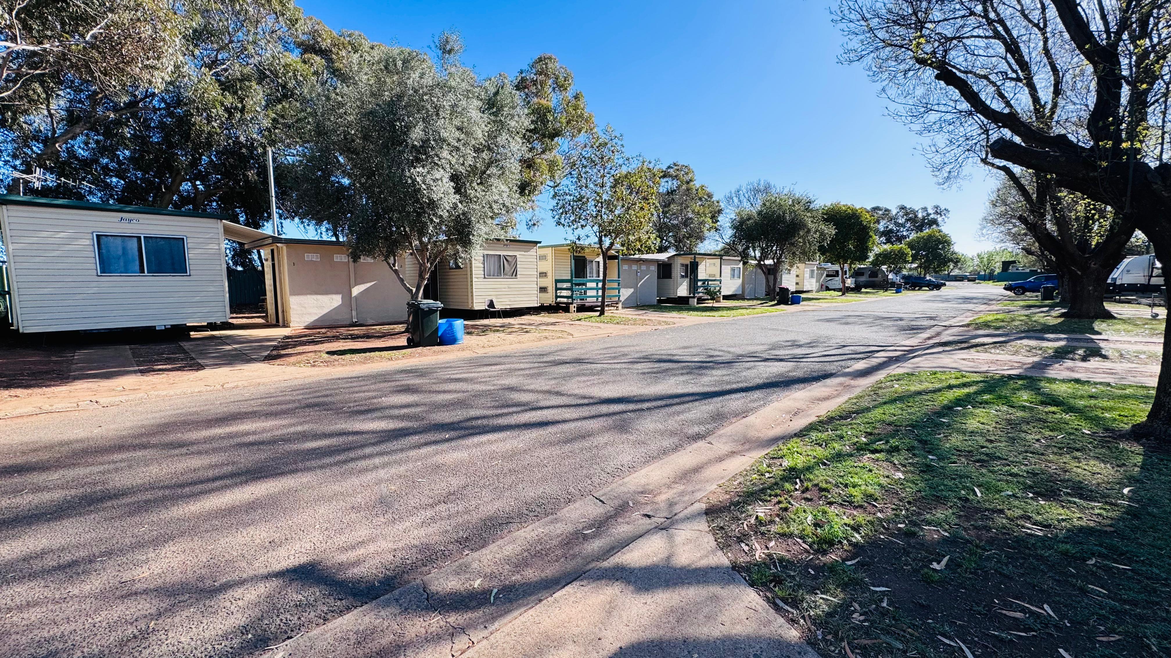 Griffith Tourist Caravan Park welcoming entrance road lined with towering eucalyptus gum trees