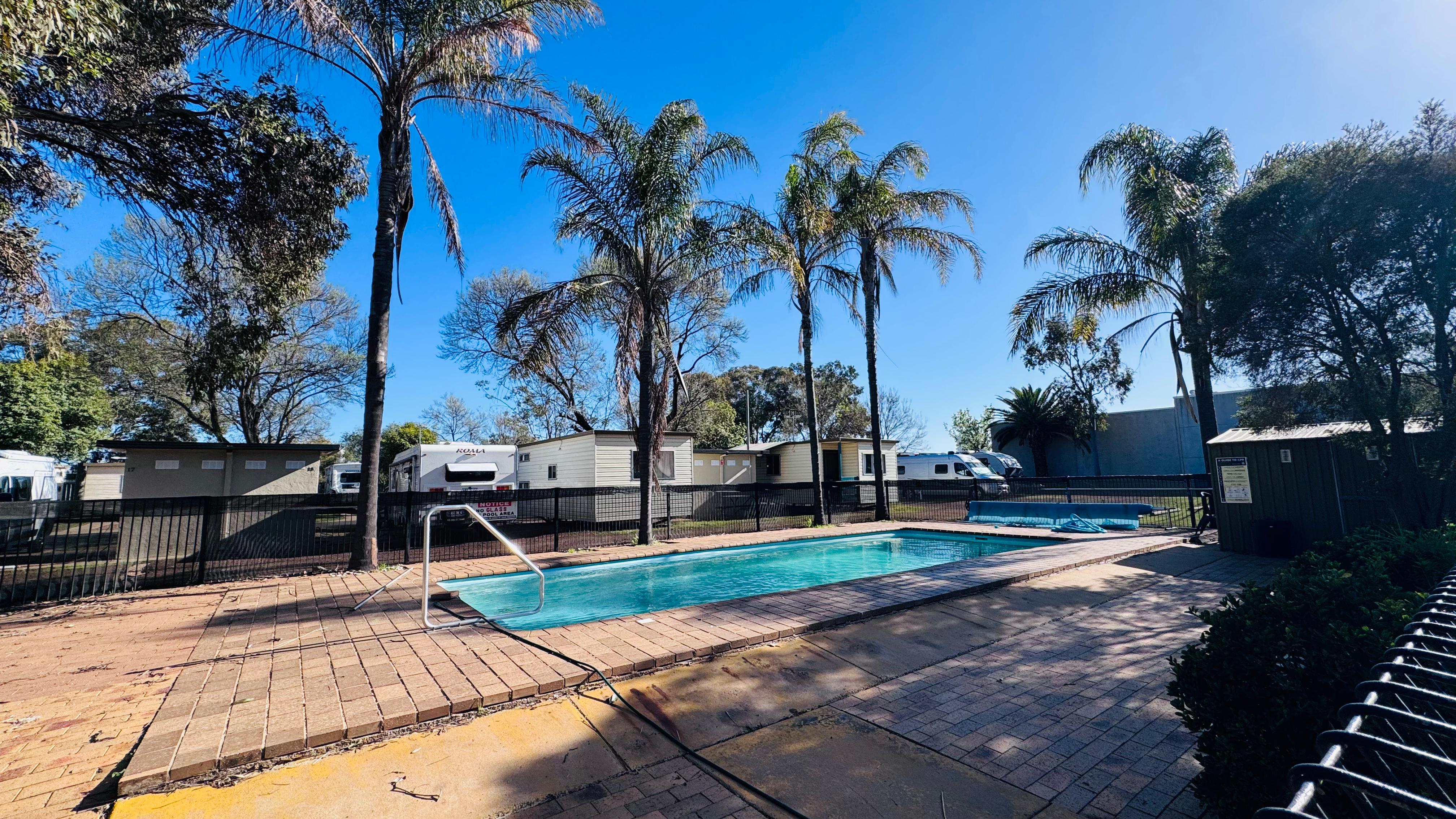 Sparkling saltwater swimming pool surrounded by palm trees